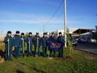 В Волжском высадили 125 пирамидальных тополей-крупномеров