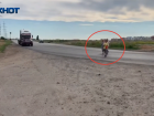 Отсутствие общественного транспорта из Волжского в Ахтубу стало поводом к обращению в прокуратуру