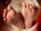 В Волжском появилась "горячая линия" по вопросам оформления выплаты на первого ребенка