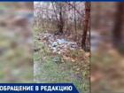 Березовая роща в Волжском превратилась в свалку