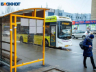 В Волжском начнут ходить дачные автобусы