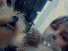 Бросил умирающую собаку и детей: чем закончилась трагедия на дороге в Волжском