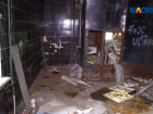 В Волжском снесут общежития после скандала с повешенным на собственников ремонтом