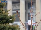 Облачный четверг обещают в Волжском: прогноз погоды