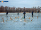 В плену ледяного панциря: в Волжском рыбу спасают от замора