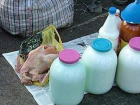 Волжанам рекомендуют не покупать молоко на стихийных рынках: можно заразиться бруцеллезом