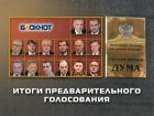 В предварительном голосовании победу одержали: ЛДПР, "Справедливая Россия" и КПРФ