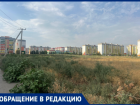 Волжский тонет в траве и смраде: жители жалуются на заброшенное поле с трупами животных