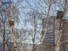 Итоги переписи воробьев в Волжском