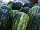 Постучать или посмотреть на хвостик: как выбрать арбузы и дыни