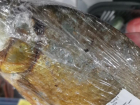 Плесневелую рыбу продают в магазинах Волжского