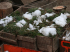 В окрестностях Волжского занялись заготовкой снега