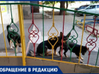 «Собаки шумные, агрессивные, кидаются на детей», - волжанка