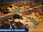 «Отвратительно»: в Волжском жалуются на свалку посреди города