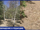 «Удручающее впечатление производит вид засыхающих деревьев», - волжанка