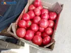 Местные помидоры возвращаются в Волжский? В Ахтубе сняли 5-летний карантин по томатной моли