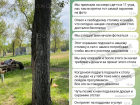 «Пьяный звал на прогулку в лес»: девочки-подростки в Волжском сообщили о пугающем поведении охранника на озере Круглом