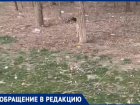 Участок возле «Магнита» на выезде возмущает жителей Волжского: видео