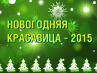 Стартует праздничный конкурс «Новогодняя красавица-2015»