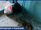 Два года без уборки: жители Волжского вынуждены сами мыть подъезды