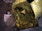Живодеры скинули собаку в уличный туалет под Волжским: видео