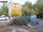В Волжском регоператор наконец согласился вывозить листву из мусорных контейнеров и ввел льготы