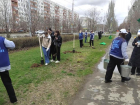 В Волжском началась весенняя акция по озеленению