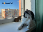 В Волжском сообщили, когда включат отопление 