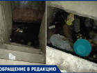 Горячий ключ по-волжски: 2 месяца фонтан с кипятком бьет в подвале МКД