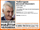 Седовласый зеленоглазый мужчина бесследно исчез в Волгограде