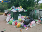 Кто будет вывозить мусор в Волжском вместо «Ситиматика»? Комиссия ЖКХ нашла решение