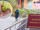 2 года колонии-поселения присудили женщине, убившей свою новорожденную дочь в Волжском