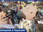 Волжане обнаружили большую свалку из овощей на месте бывшей воинской части