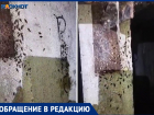 Вонь и тараканы: УК МПЖХ месяц не реагирует на течь трубы в подвале Волжского МКД