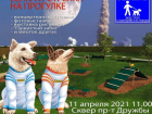 В Волжском состоится торжественное открытие площадки для дрессировки собак