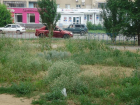 В Волжском трава создает пожароопасную ситуацию