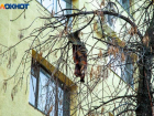 За жизнь 4-летнего выпавшего из окна волжанина борются реаниматологи в Волгограде