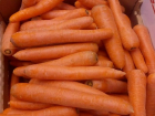Морковь в Волжском подешевела до 90 рублей за килограмм