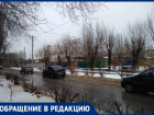 «На меня с ребенком напала собака», - волжанка жалуется на диких животных возле детского сада