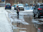 В день насекомых в Волжском будет холодно и мокро