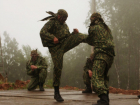 На День города в Волгограде военные покажут мастерство рукопашного боя
