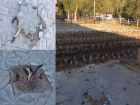 Торчащие провода и разбитая дорога на месте кафе Terrassa "порадовали" волжан