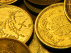Предприимчивые южные гости под видом антикварных монет подсунули волжанину копеечные копии 