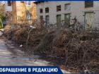 Новогодние елки и не только гниют у контейнера в Волжском