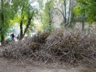 Гора сухих веток сковала проход к мусорному баку в Волжском