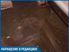 Помогите избежать эпидемии! - волжанка
