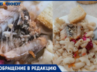 «Наших детей травят»: школьников близ Волжского кормят личинками