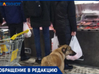 «В очереди за мясом стоят собаки»: дворняжки решили закупиться в магазинах Волжского