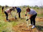 В Волжском стартует масштабный месячник благоустройства