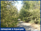 "Вся улица в зарослях", - волжанка
